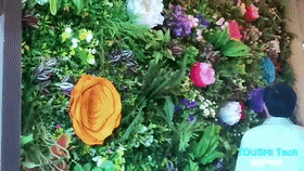 濱州市城市管理局植物園科普中心多媒體互動(dòng)裝置