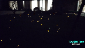 蘇州張家港智慧科學(xué)城示范區(qū)30組螢火蟲燈裝置